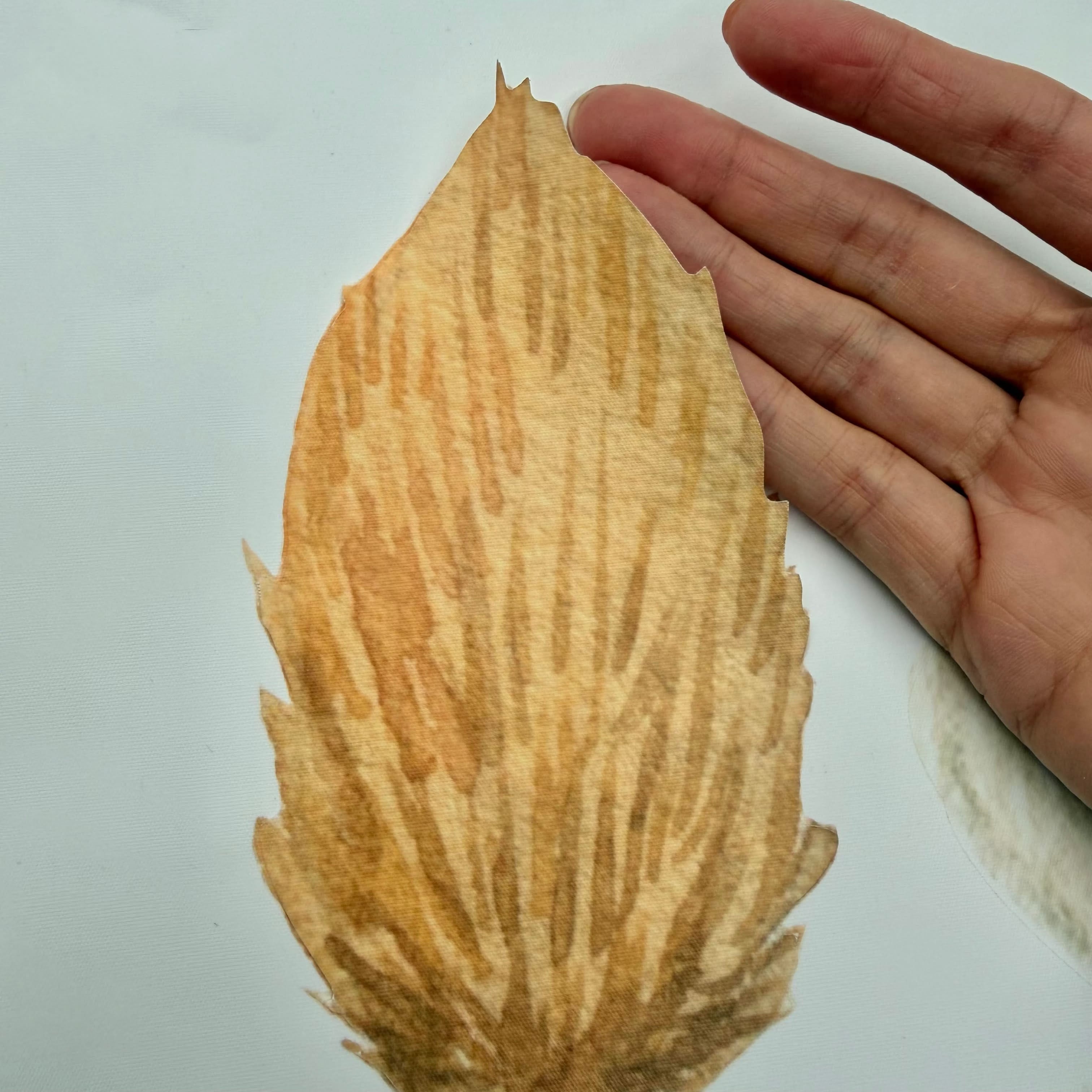 Dahlias and Daisies Wall Decals