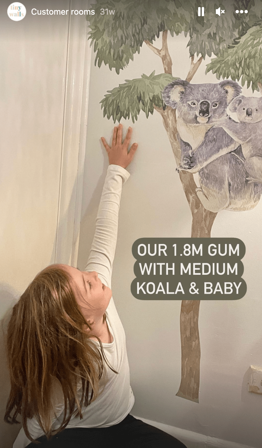 Australian Bush Animal & Gum Tree Bundles