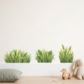 Removable Wall Decals