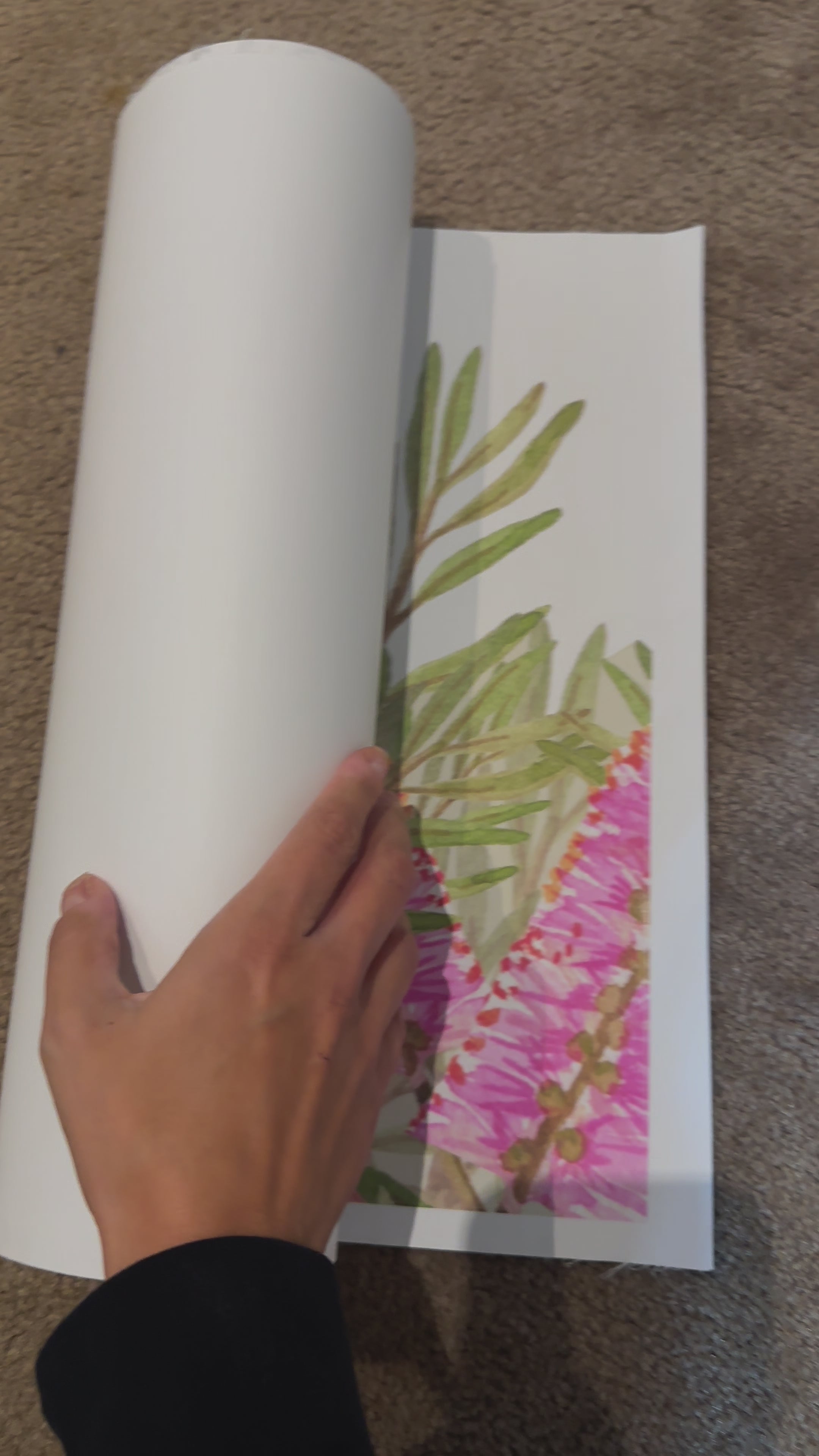 Load video: Pink Bottlebrush Wall Trim Decals