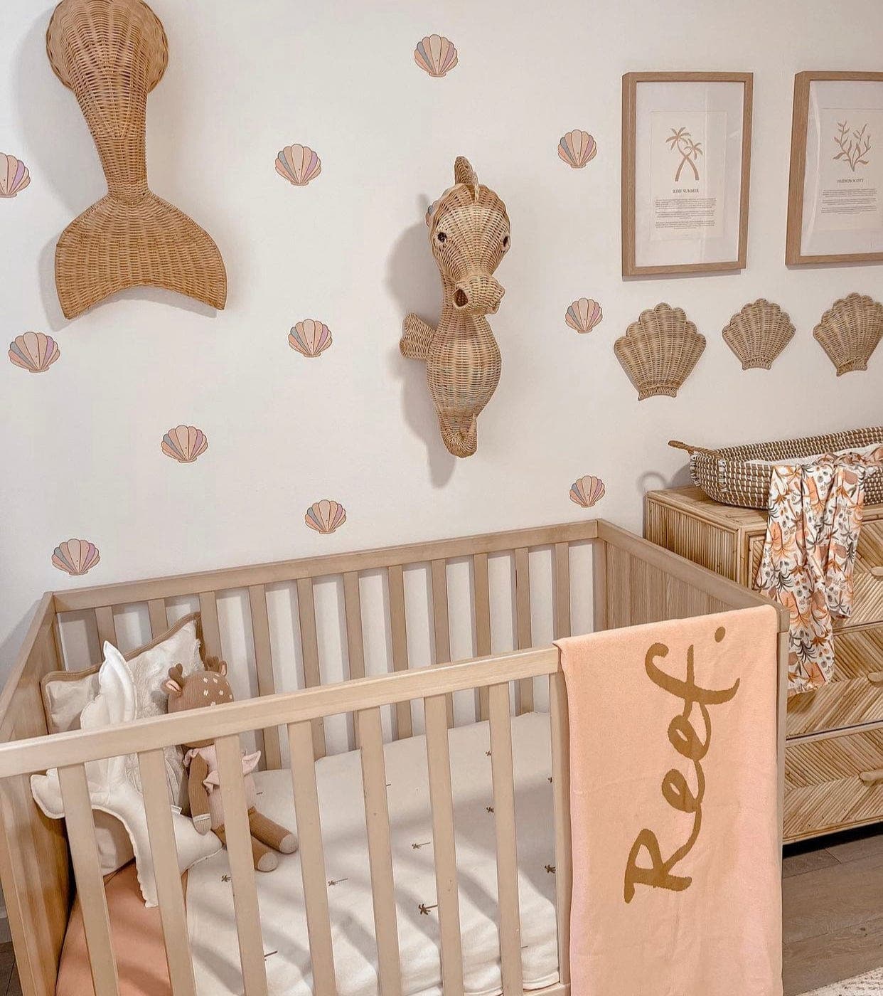 Sea Shell Wall Decals