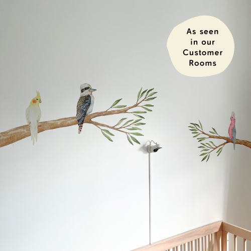 Australian Gum Tree Branch & Bird Wall Decals