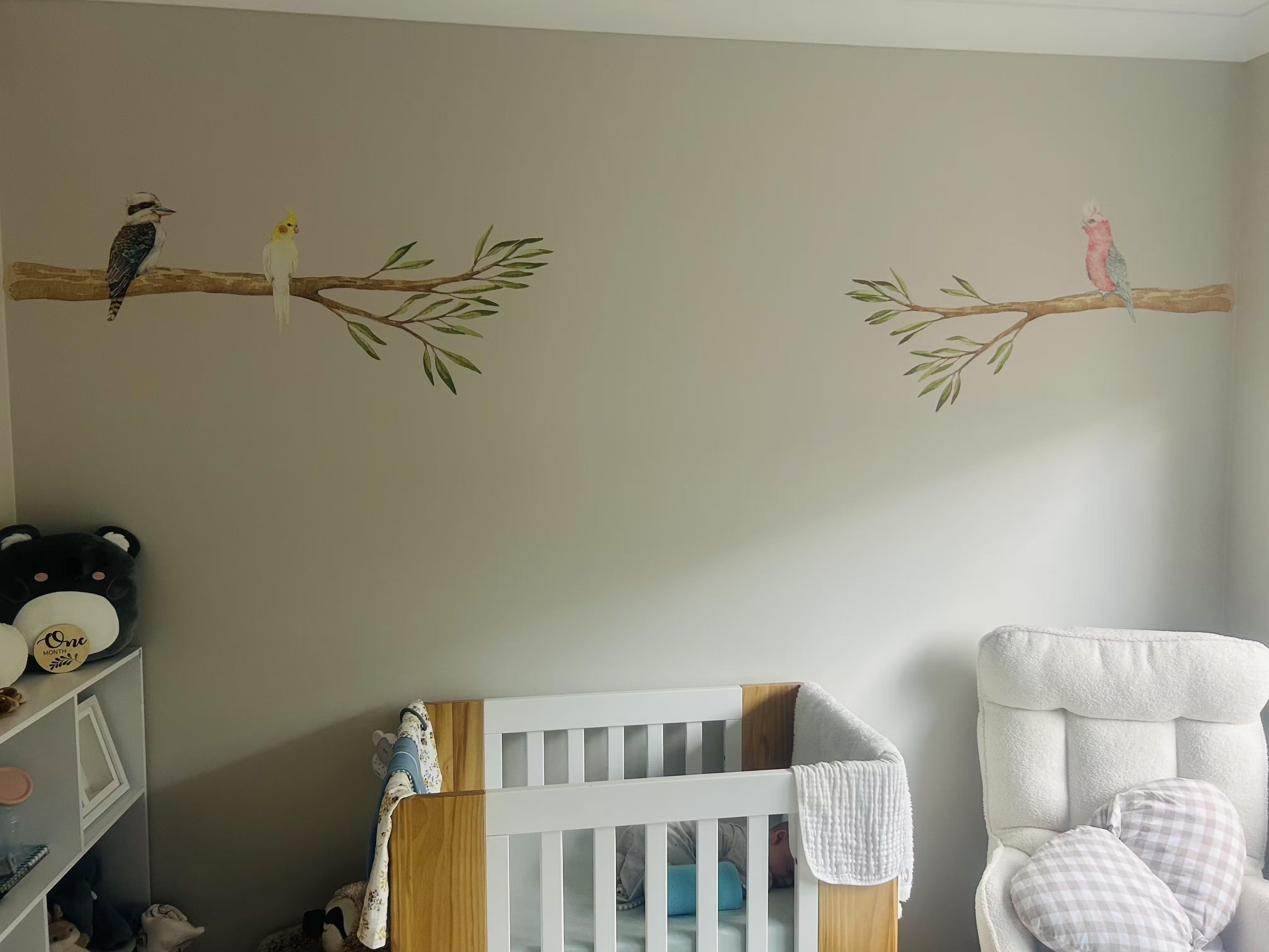 Australian Gum Tree Branch & Bird Wall Decals