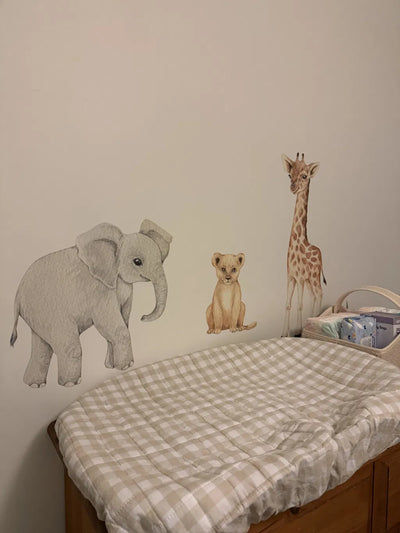 Removable Wall Decals 