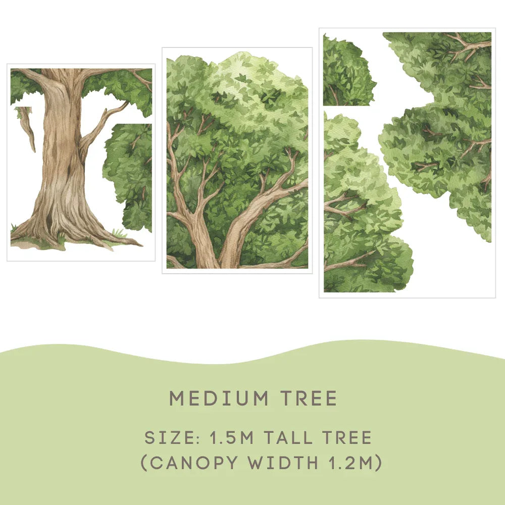 Oak Tree Medium size guide: 1.5m tall with a 1.2m canopy width