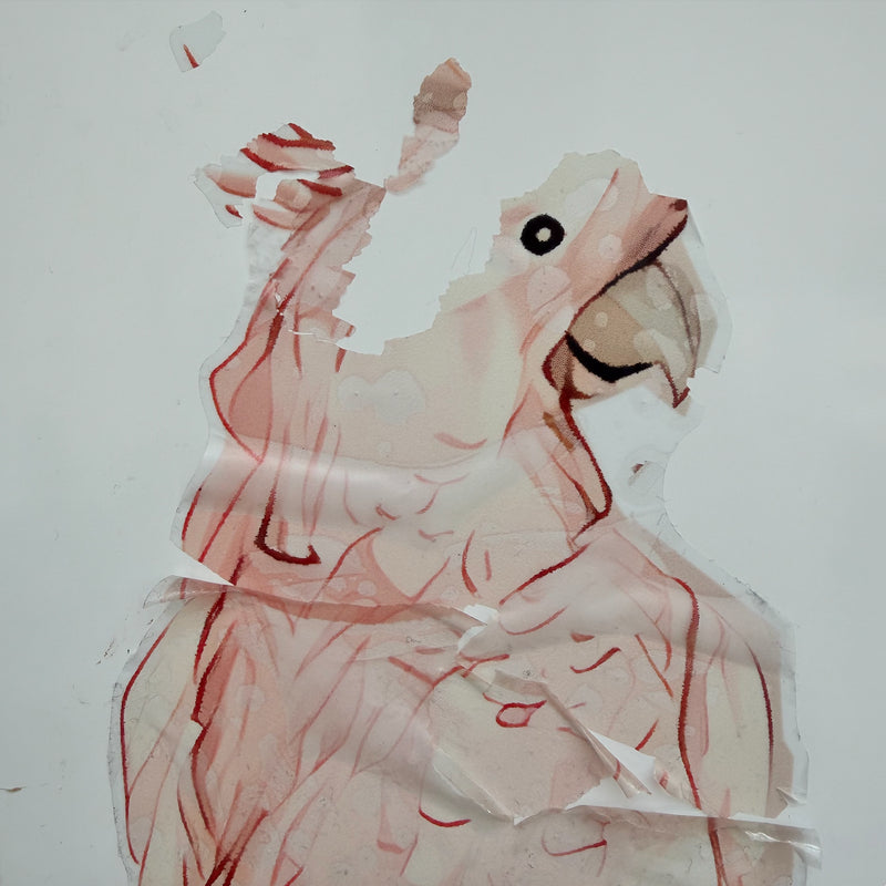 Removable Wall Decals 