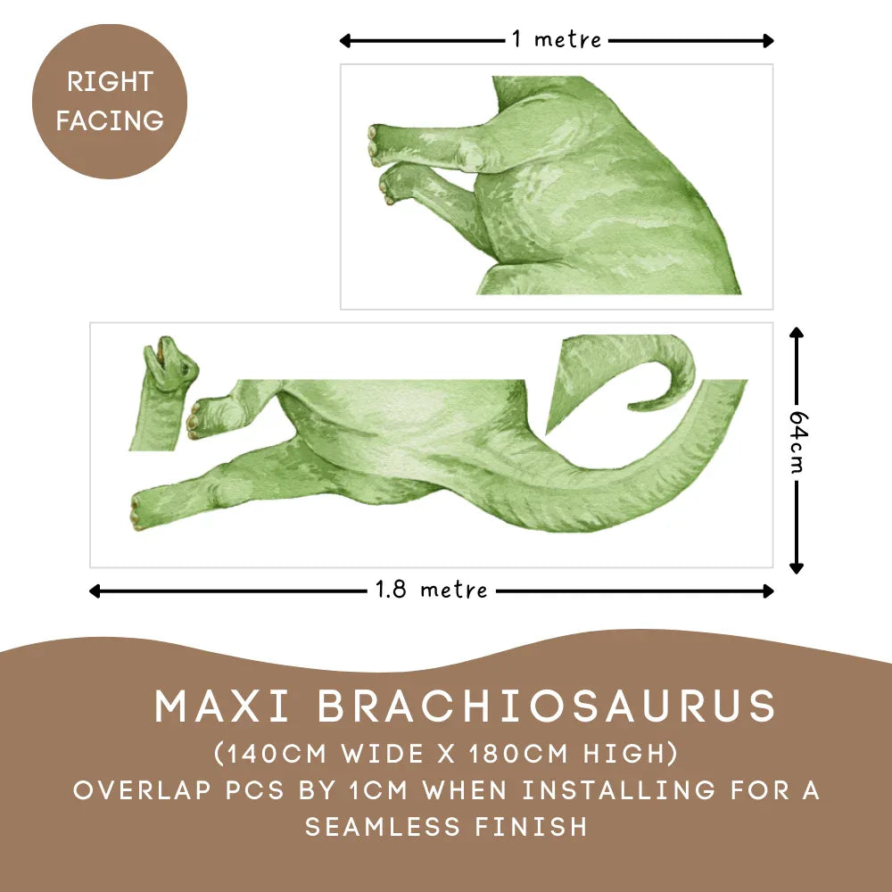 Maxi Brachiosaurus decal size guide: 140cm wide by 180cm high, right facing
