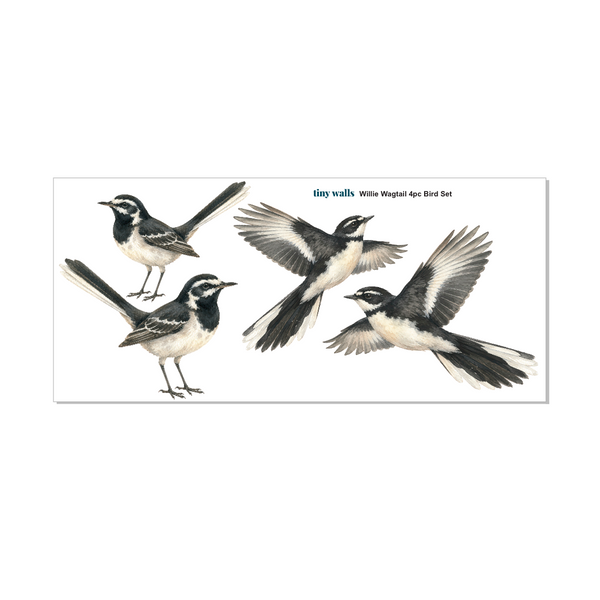 A rectangular print or card showing four black-and-white bird illustrations on a white background, with small text at the top reading 'tiny walks Wills Wagtail 4pc Bird Set.'.