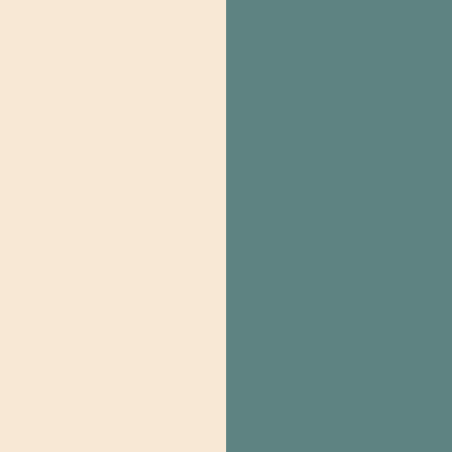 A simple vertical color split: the left half is a warm cream/beige tone and the right half is a muted blue-green/teal tone.