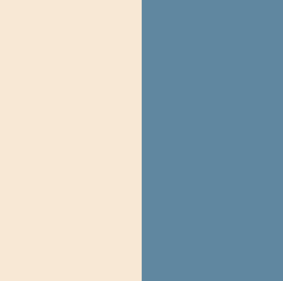 A simple vertical color split with a warm cream/beige block on the left and a muted medium blue block on the right.