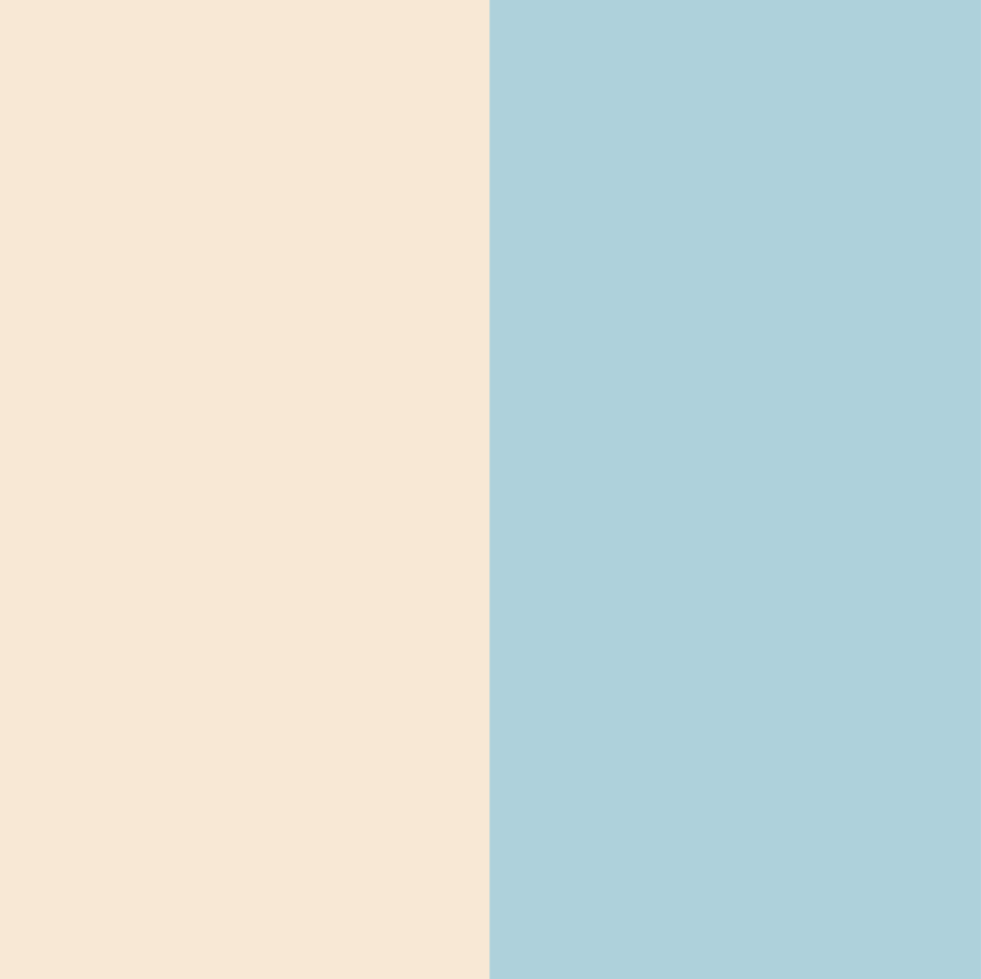 A simple vertical color split with equal blocks of warm cream-beige on the left and light pastel blue on the right.