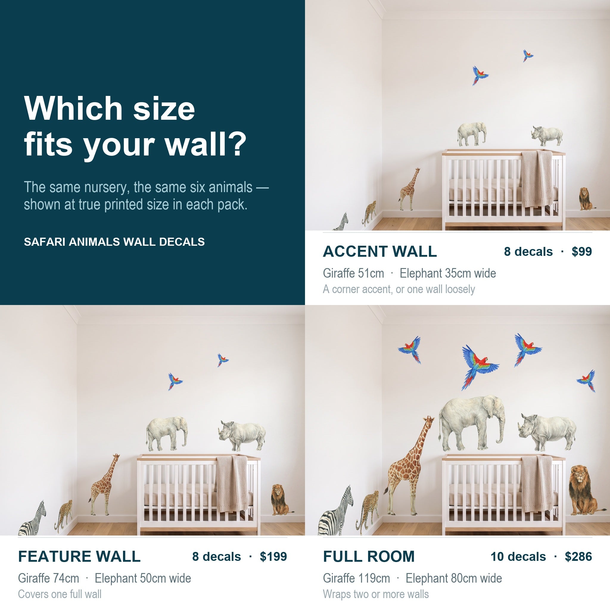 A size-fitting guide for safari animals wall decals, showing four nursery room mockups labeled Accent Wall, Feature Wall, Full Room, and a dark teal panel with text explaining true printed size in each pack.

