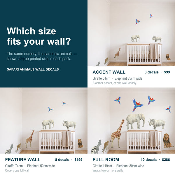 A size-fitting guide for safari animals wall decals, showing four nursery room mockups labeled Accent Wall, Feature Wall, Full Room, and a dark teal panel with text explaining true printed size in each pack.

