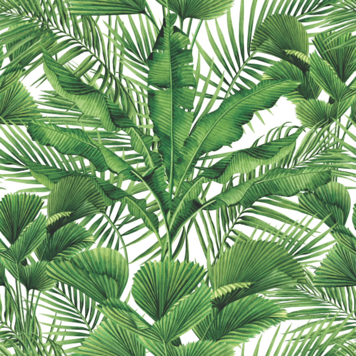 Calypso Green Tropical Jungle Foliage Wallpaper