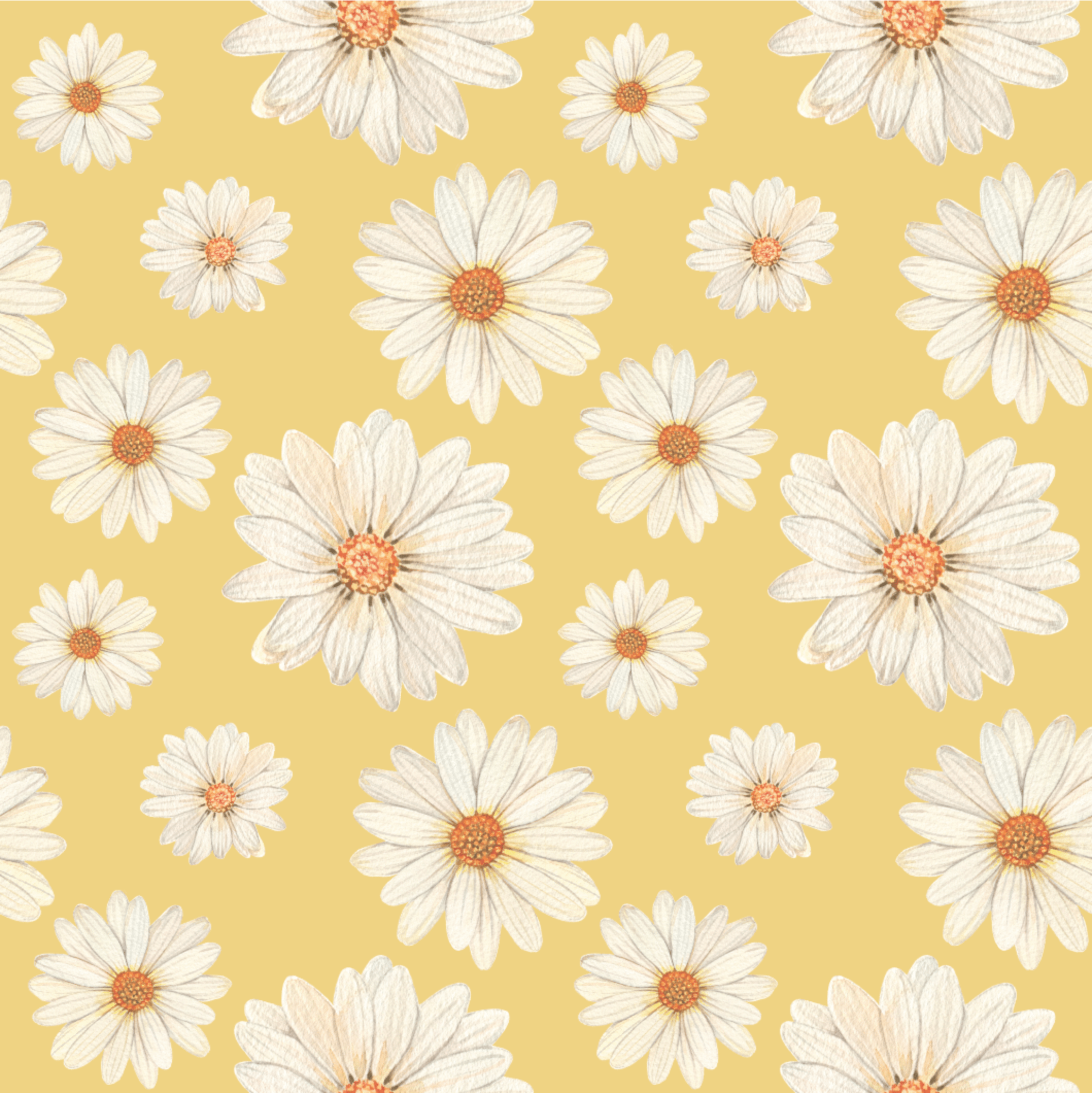 Yellow Daisy Background Yellow daisy background