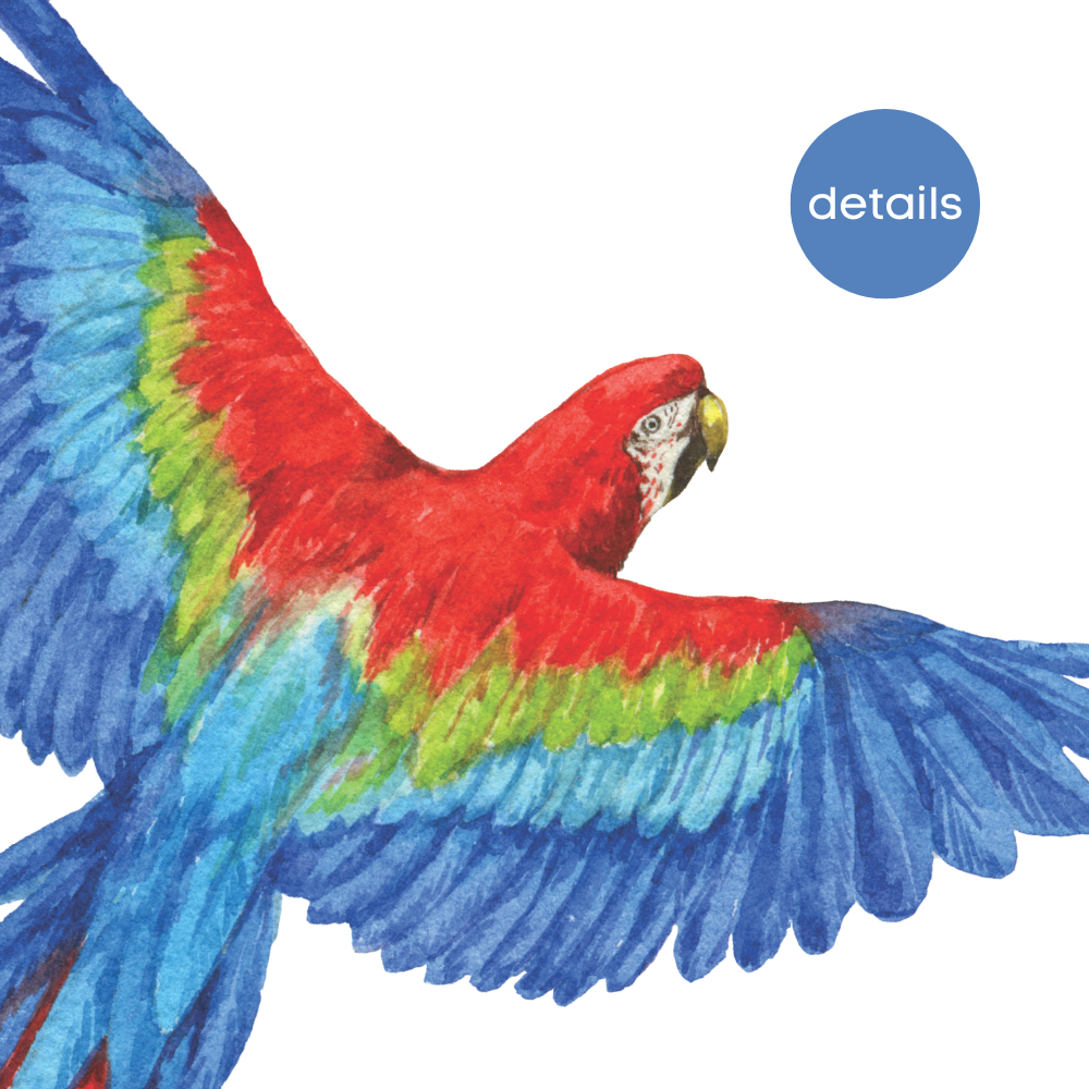 Close-up of a watercolour macaw parrot wall decal