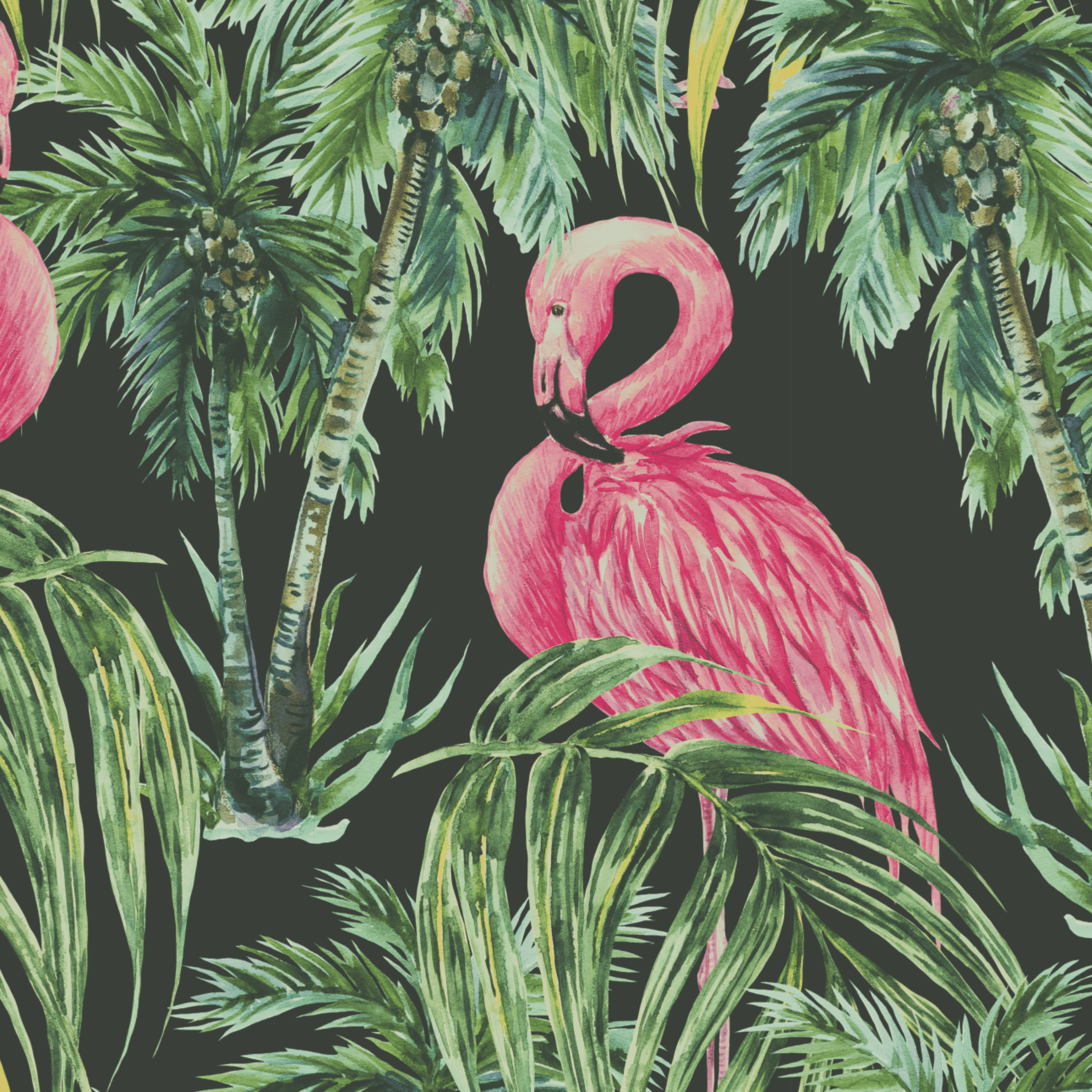 Flamingo Pink Tropical Wallpaper