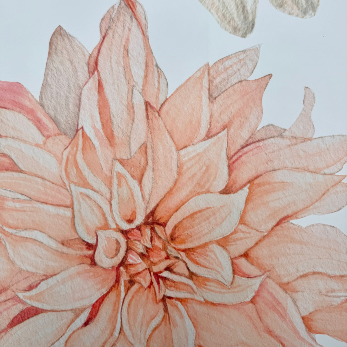 Close-up of a peach dahlia wall decal showing the watercolour detail
