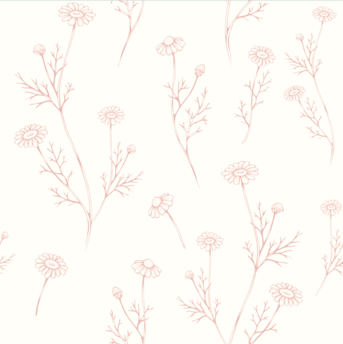Close-up of Hattie Dainty Pink wallpaper showing pink chamomile sprigs on white