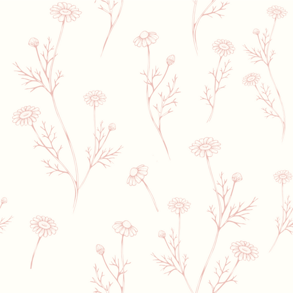 Hattie Dainty Pink Dried Foliage Wallpaper