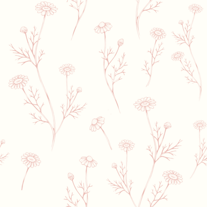 Hattie Dainty Pink Dried Foliage Wallpaper
