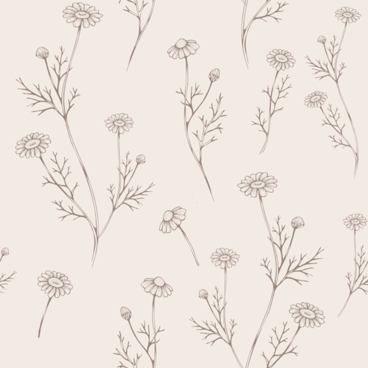Close-up of Hattie Dried Foliage wallpaper showing tan chamomile sprigs on cream