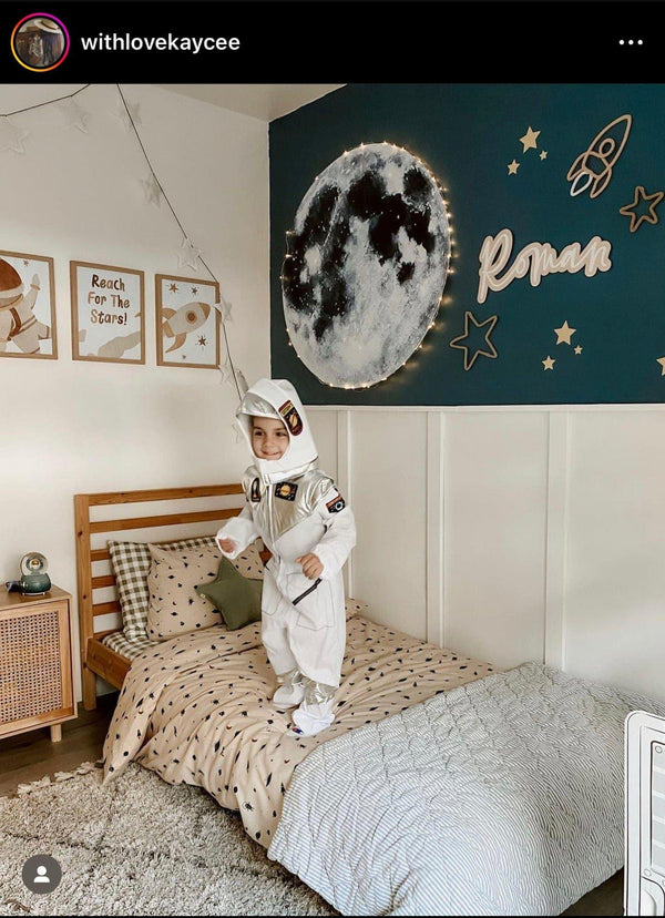 Hand-Painted Moon & Owls Night Sky Wall Decal