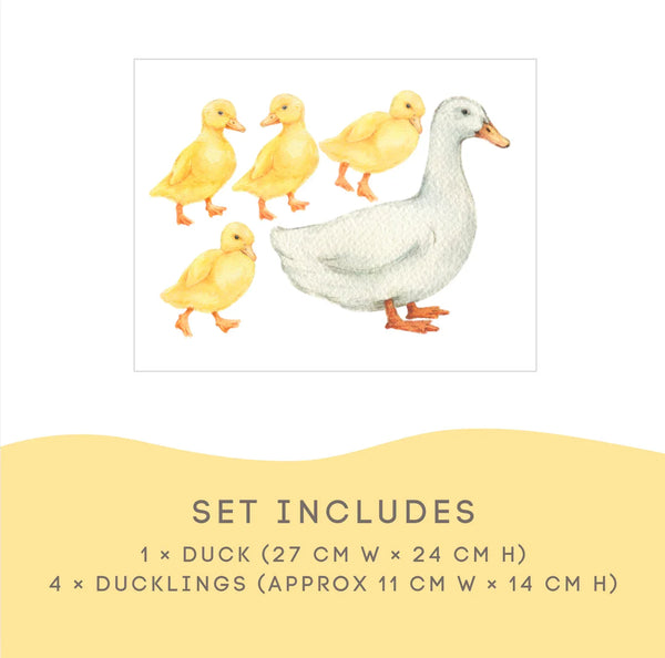 Illustration of a duck and four ducklings with dimensions on a white background
