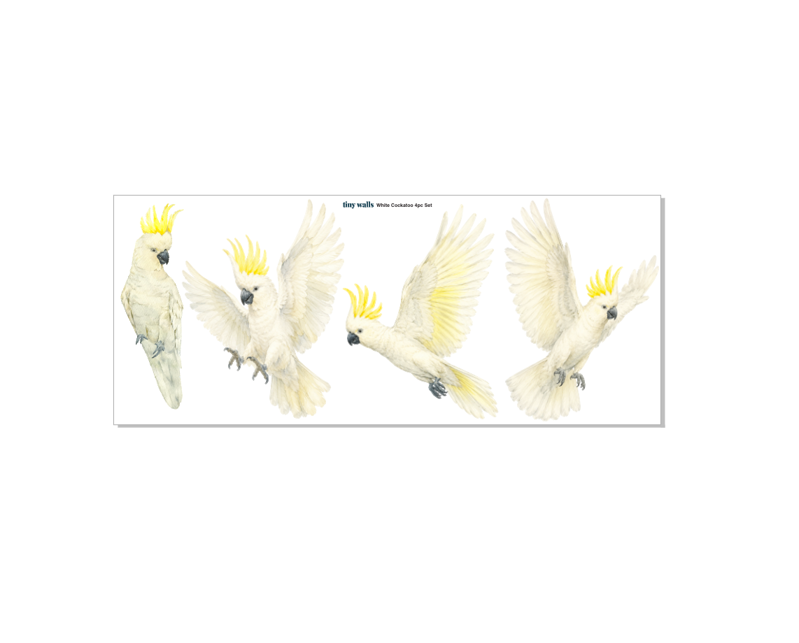 Illustration of four white cockatoos with yellow crests on a white background