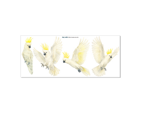Removable Wall Decals 