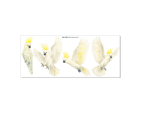 Illustration of four white cockatoos with yellow crests on a white background