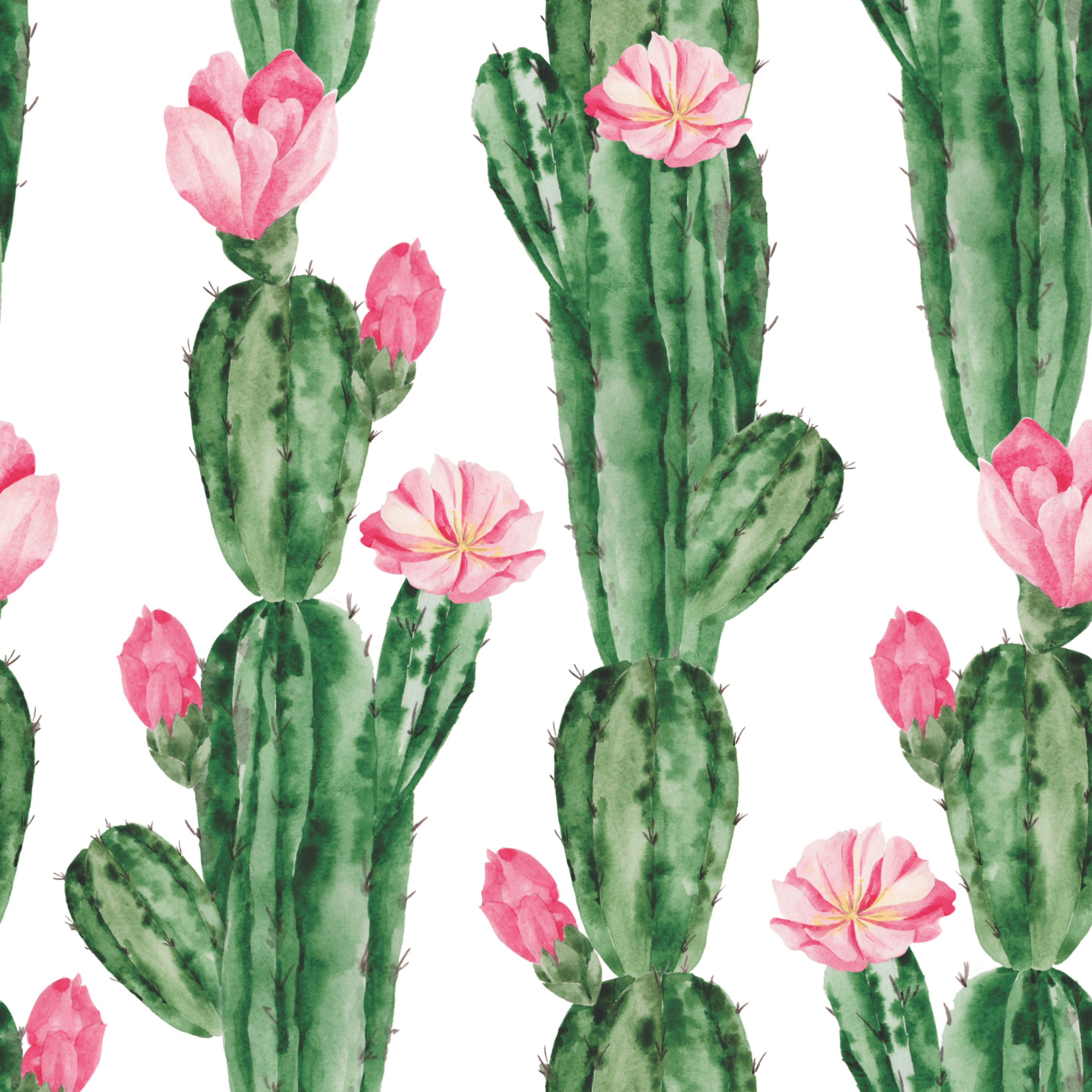 Liliana Cactus Desert Green Pink Wallpaper