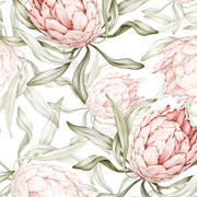 Protea Flower Large Scale Wallpaper Mural