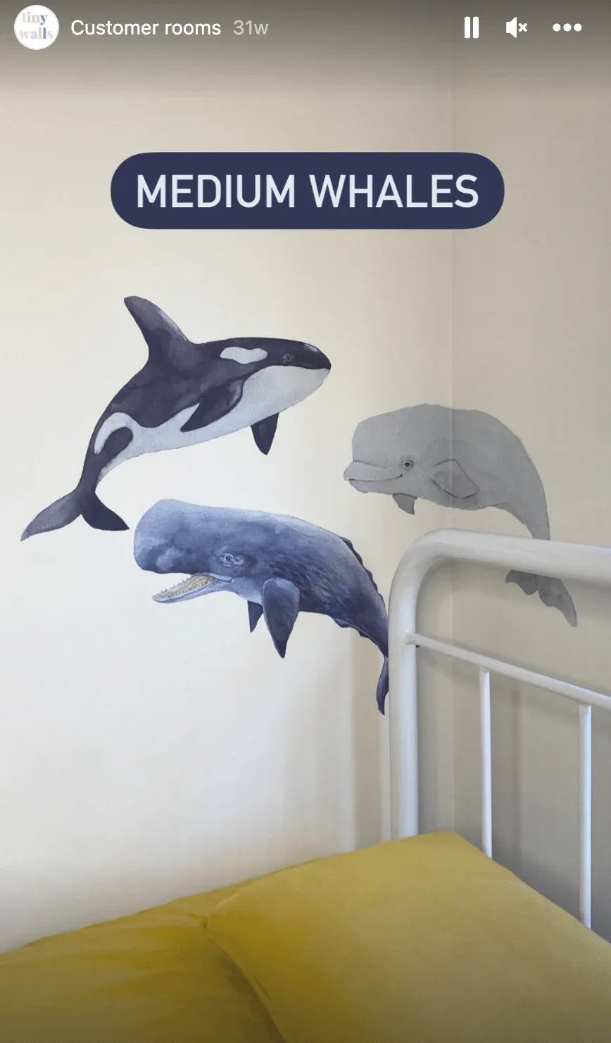 Customer photo of medium whale decals above a bed