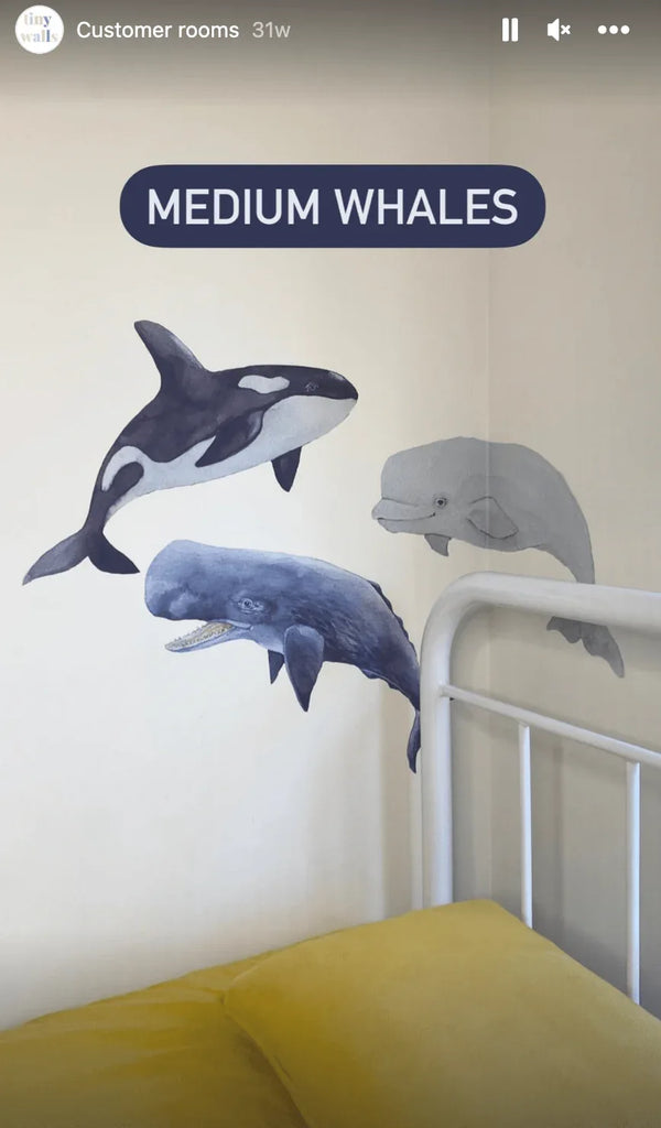 Ocean Whale Wall Decals