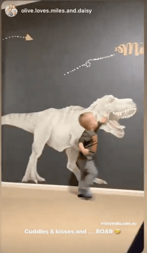 Removable Wall Decals 