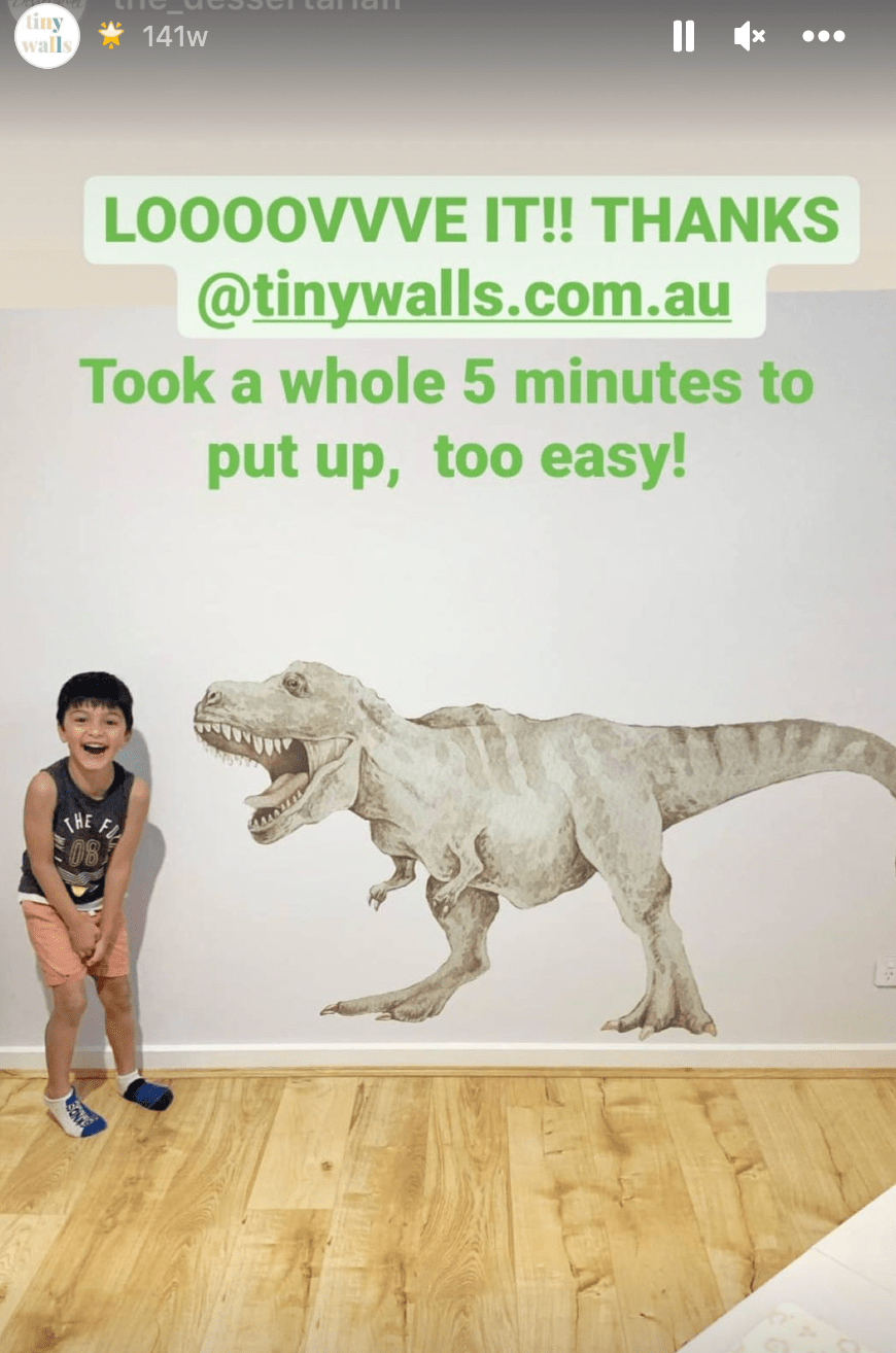 Customer photo of a child with a T-Rex wall decal