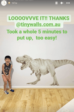 Removable Wall Decals 