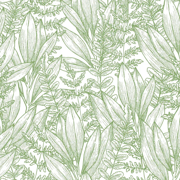 Close-up of Botanical wallpaper showing fine green line-drawn ferns and leaves