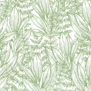 Botanical Green Foliage Leaves Tropical Wallpaper Mural