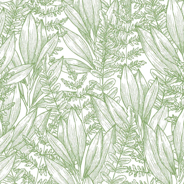 Botanical Green Foliage Leaves Tropical Wallpaper Mural