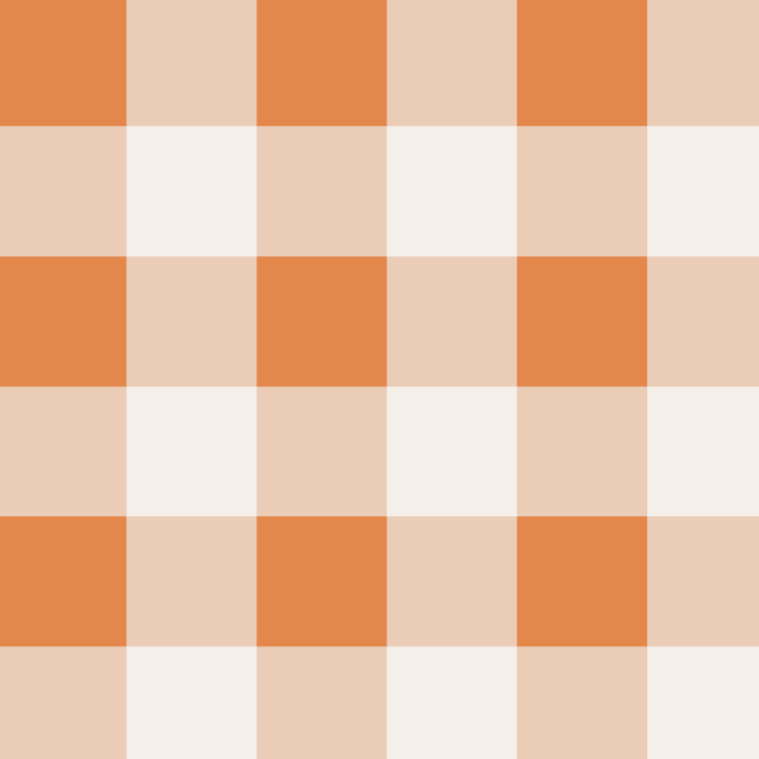 Checkers Gingham Burnt Orange