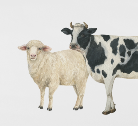 Farm Animal Wall Decals