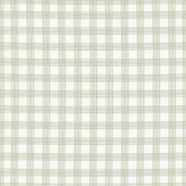Campbell Hand Drawn Check Sage Green Wallpaper