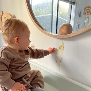 Removable Wall Decals 