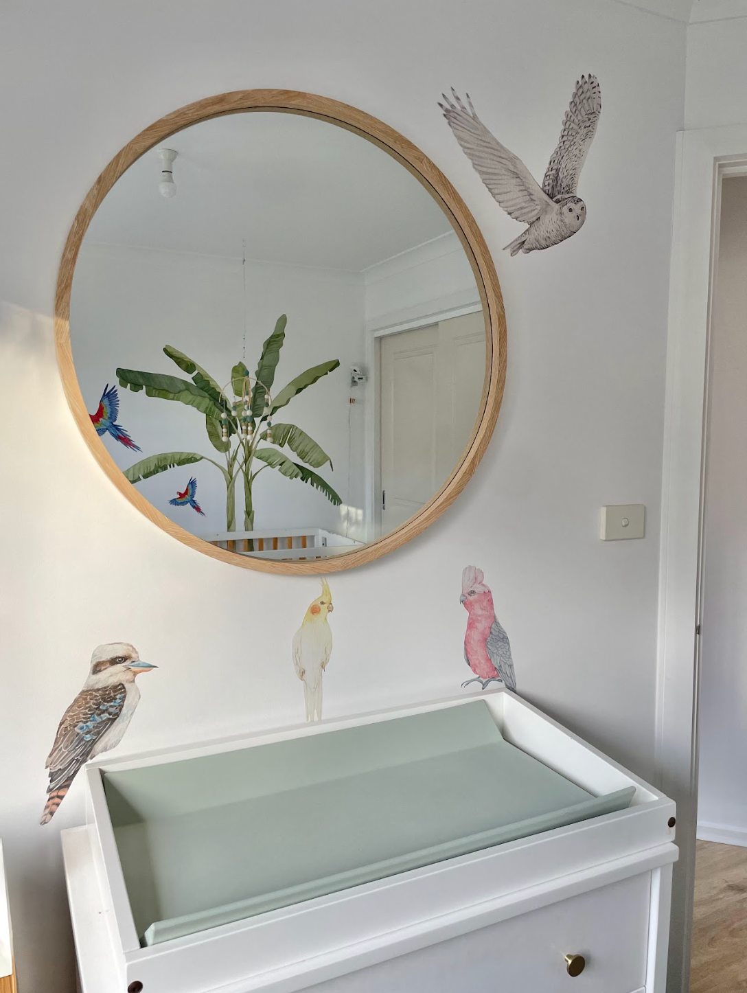 Australian Gum Tree Branch & Bird Wall Decals