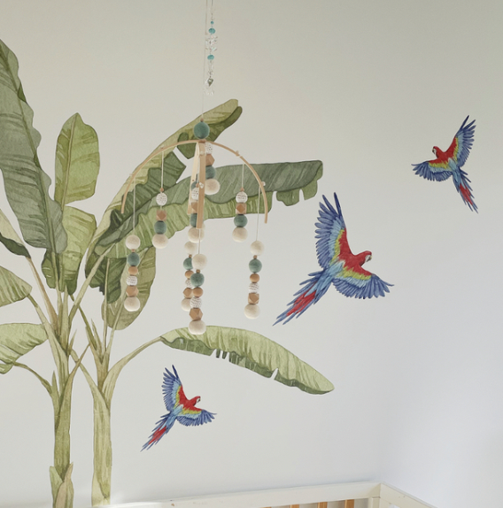 Parrot Wall Decals