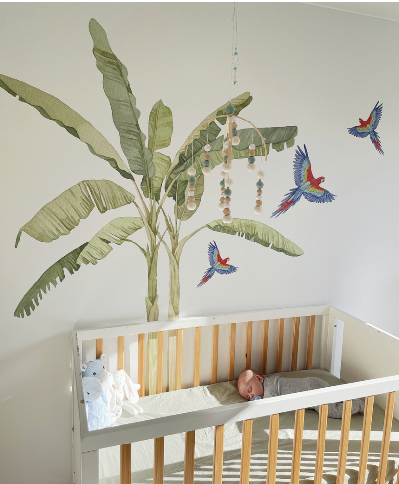 Customer photo of parrot and banana palm decals in a nursery