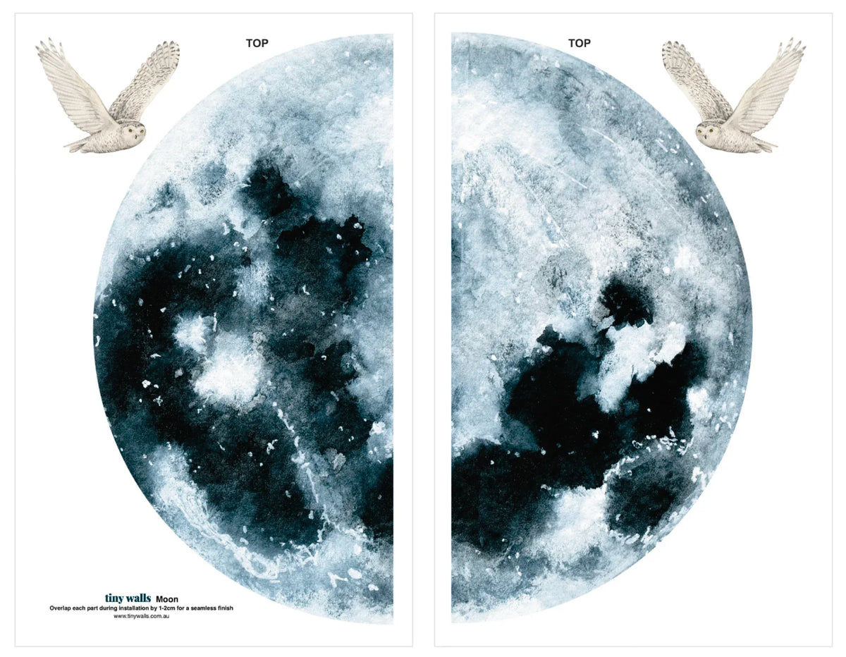Moon wall decal supplied in two pieces with two owl decals