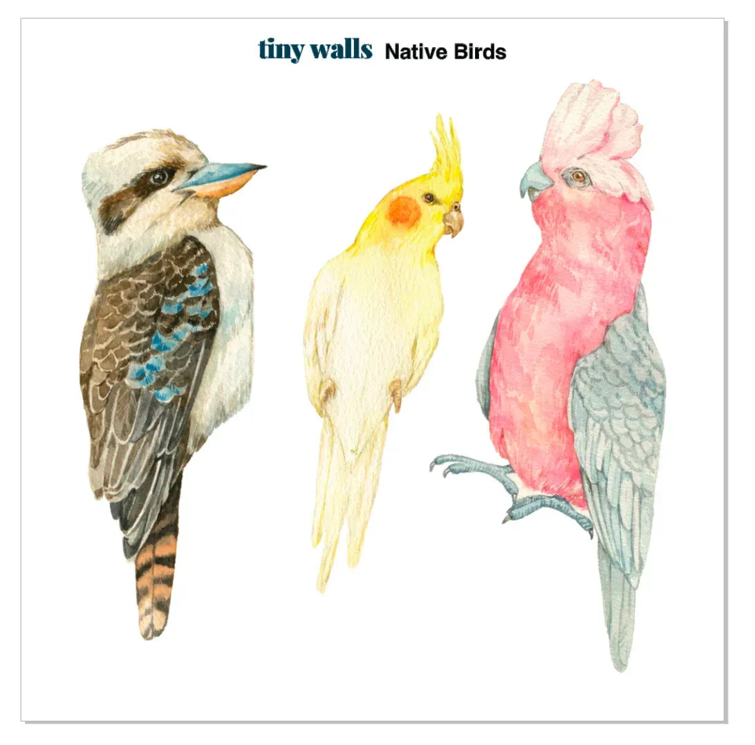 Native bird decals: kookaburra, cockatiel and galah in watercolour